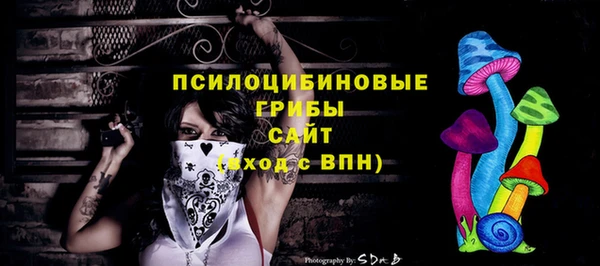 PSILOCYBIN Абинск