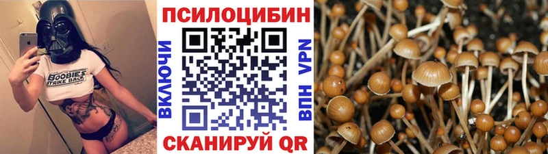 даркнет сайт  Сарапул  Псилоцибиновые грибы Magic Shrooms 