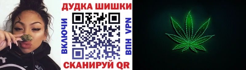 Бошки Шишки план  где купить наркоту  Сарапул 